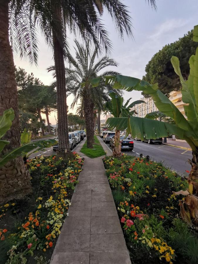 Le Chester 3 Pièces Proche Croisette Bord De Appartamento Cannes